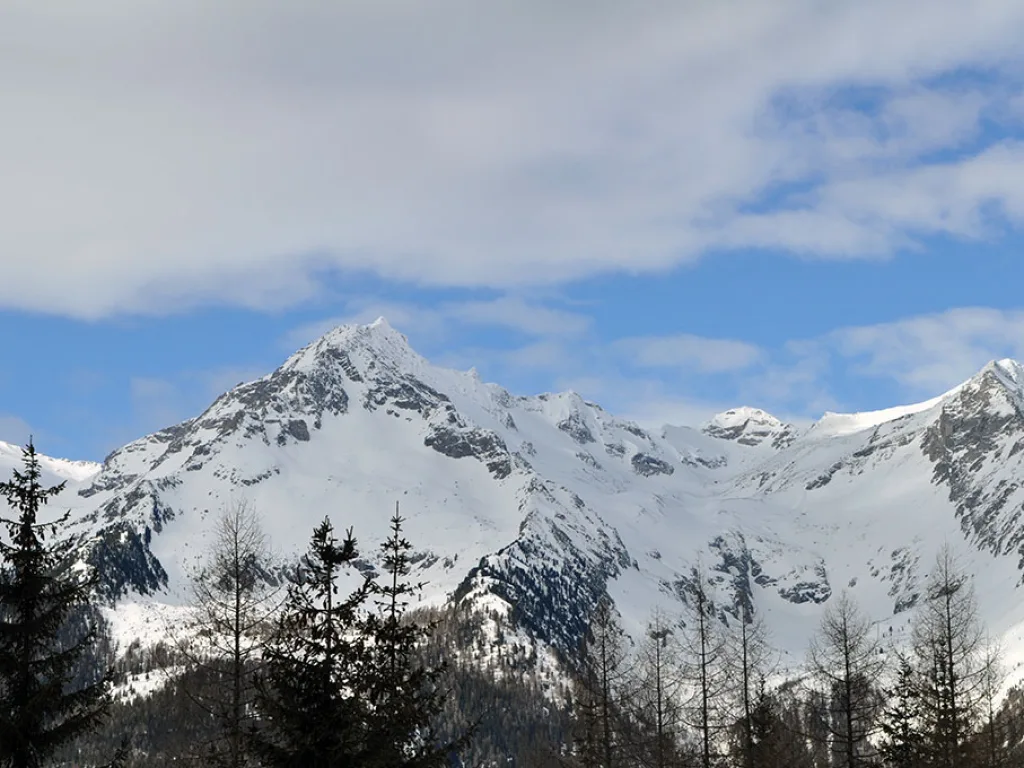 Verschneiter Gipfel unter blauem Himmel über dem Nadelwald.